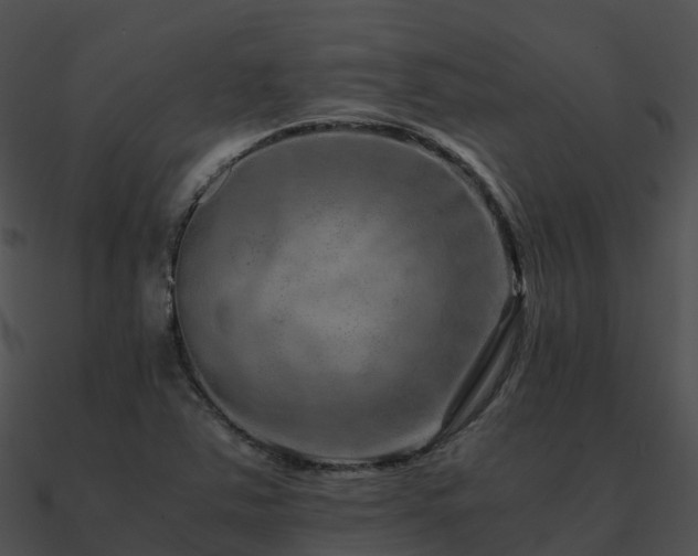 X0000090991363200708021513