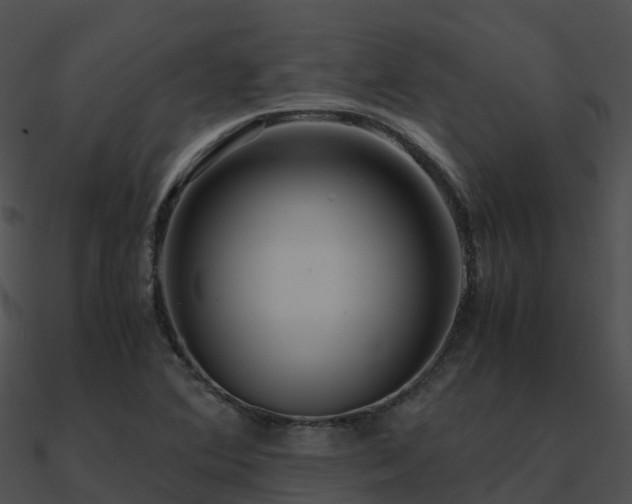 X0000090991364200708021513