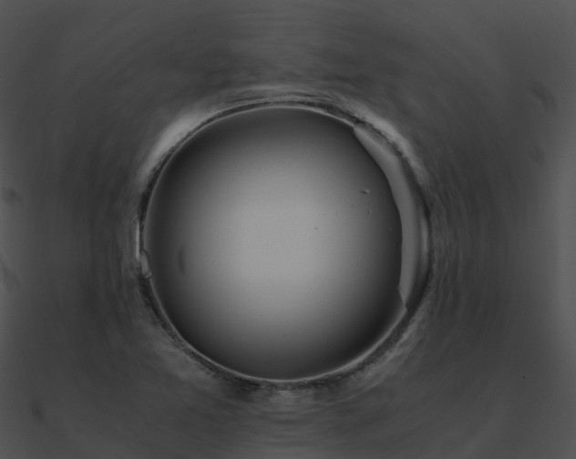 X0000090991365200708021513