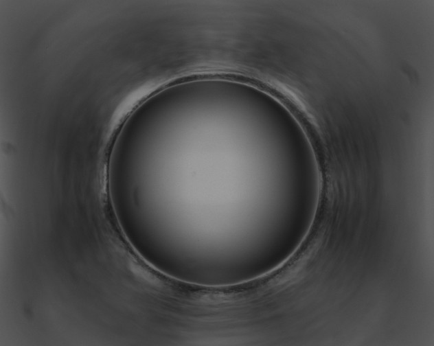 X0000090991366200708021513