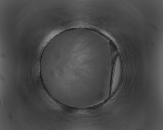 X0000090991367200708021513