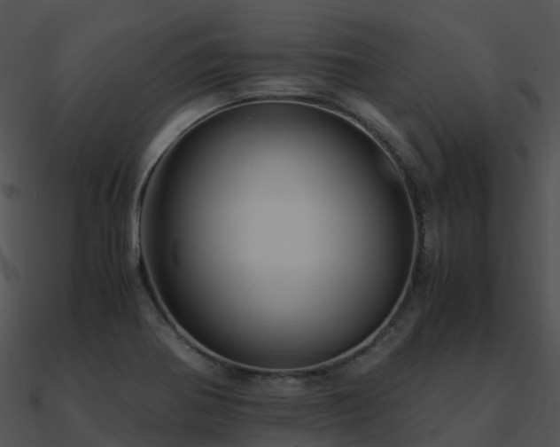 X0000090991370200708021513