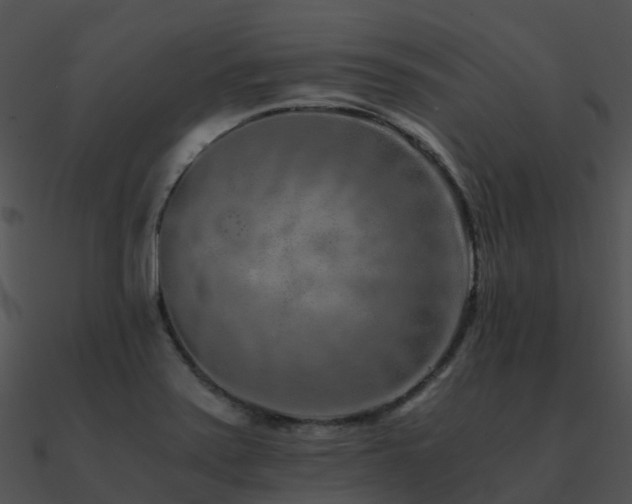 X0000090991371200708021513