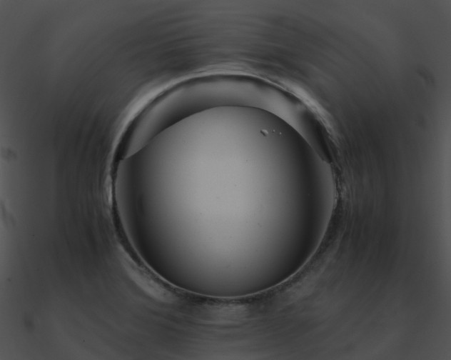 X0000090991372200708021513