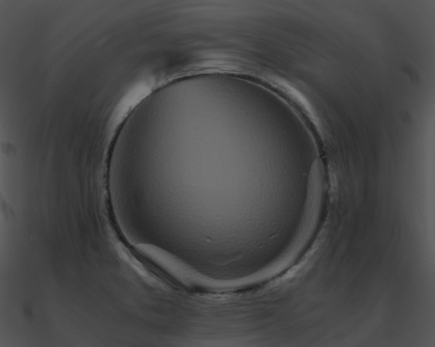 X0000090991373200708021513