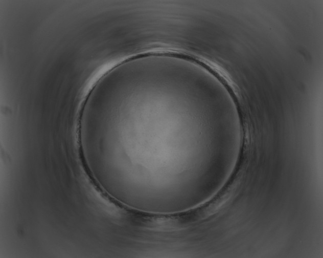 X0000090991375200708021513