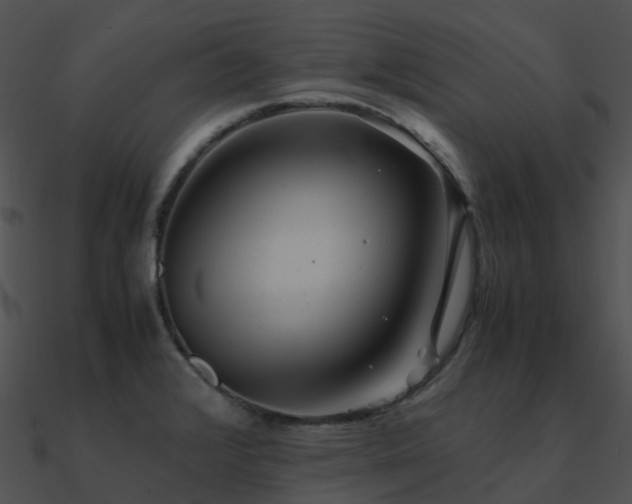 X0000090991376200708021513