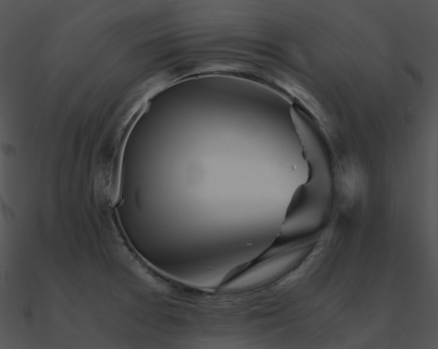 X0000090991377200708021513