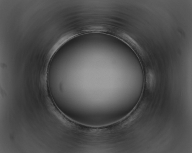X0000090991378200708021513