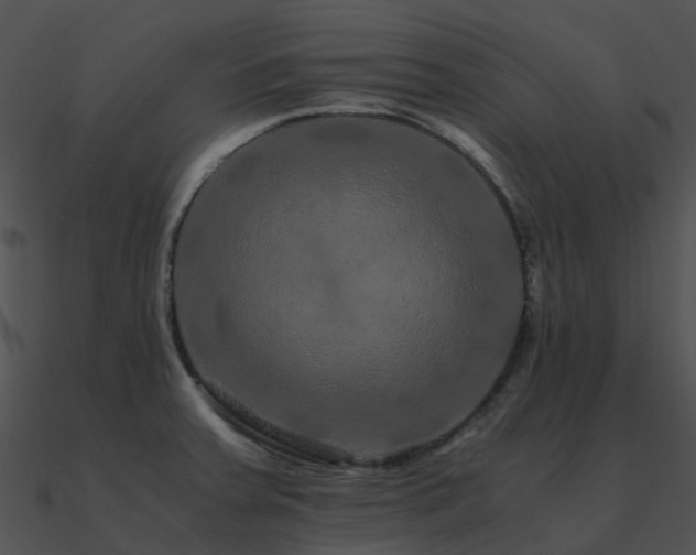 X0000090991379200708021513