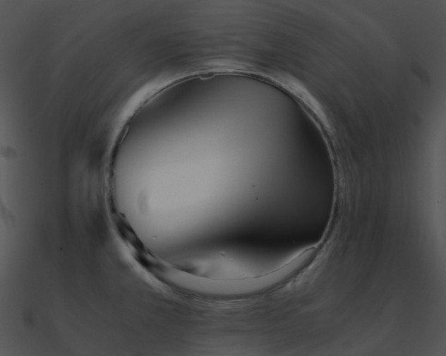 X0000090991381200708021513