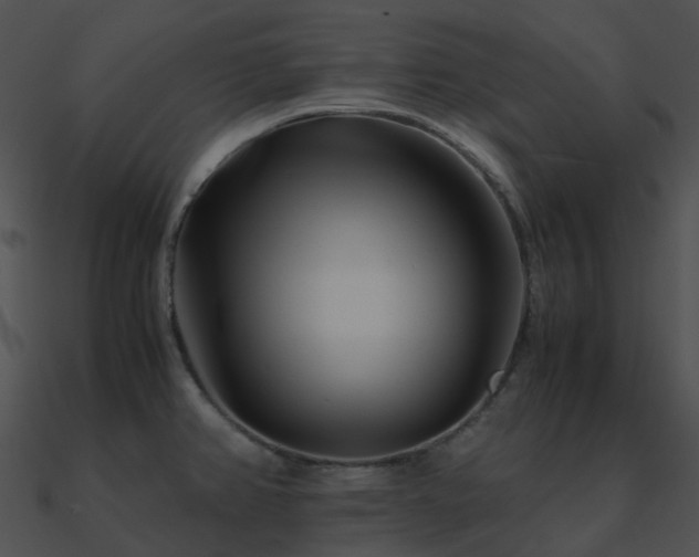 X0000090991382200708021513