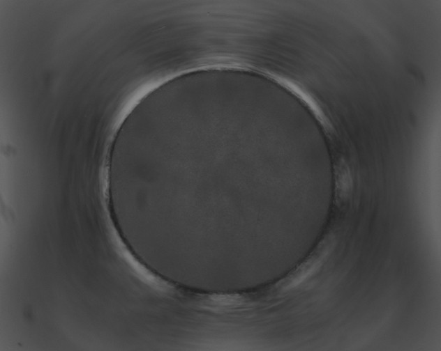 X0000090991383200708021513
