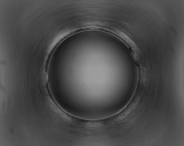 X0000090991384200708021513