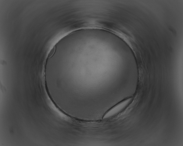 X0000090991387200708021513