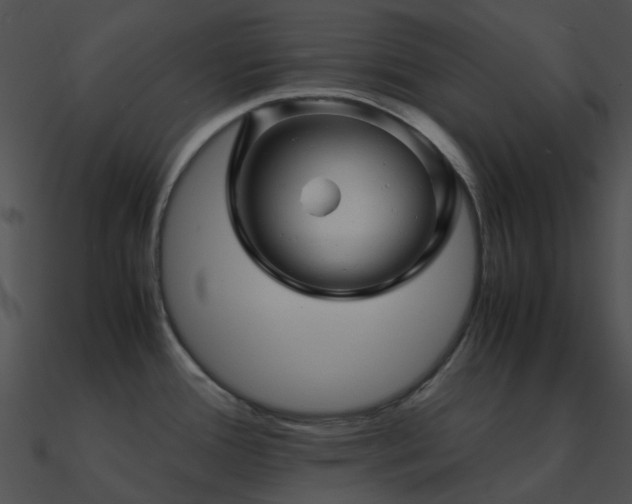 X0000090991388200708021513