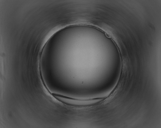 X0000090991390200708021513
