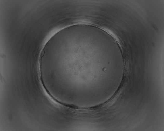 X0000090991391200708021513
