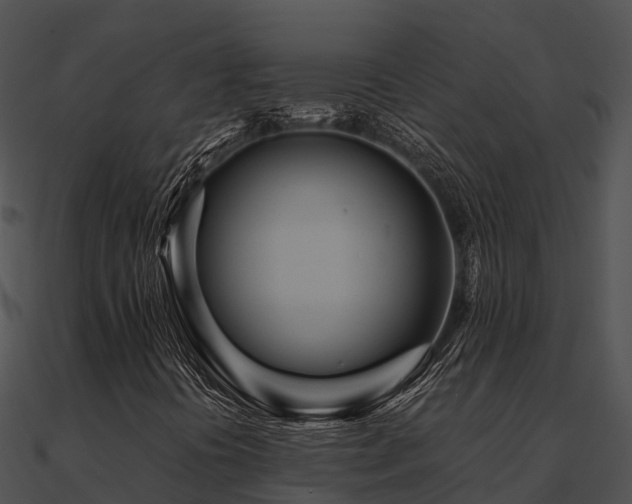 X0000090991394200708021512
