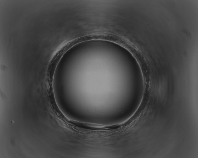 X0000090991400200708021512