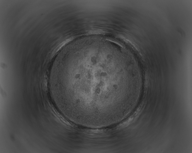 X0000090991401200708021512