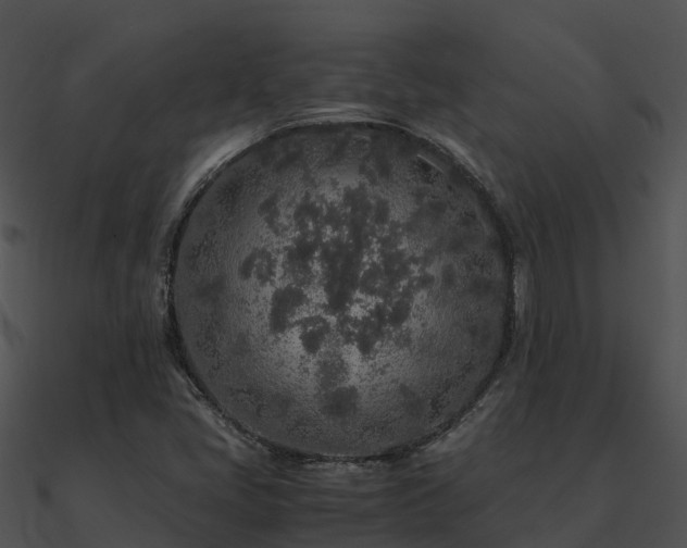 X0000090991405200708021512