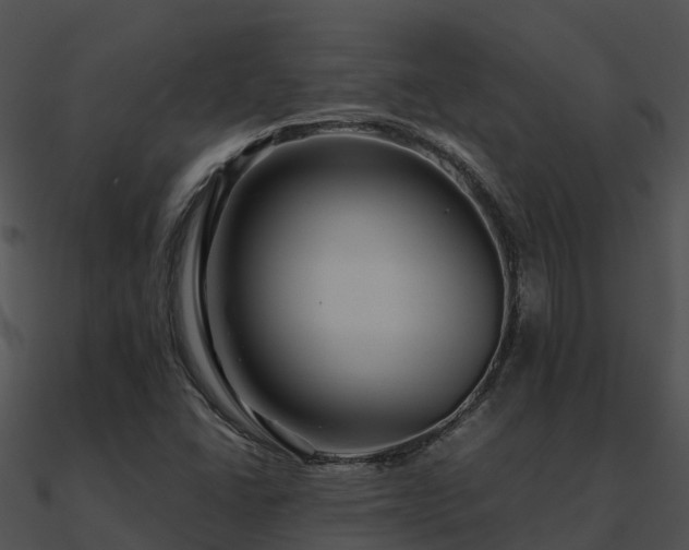 X0000090991406200708021512