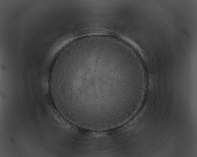 X0000090991407200708021512