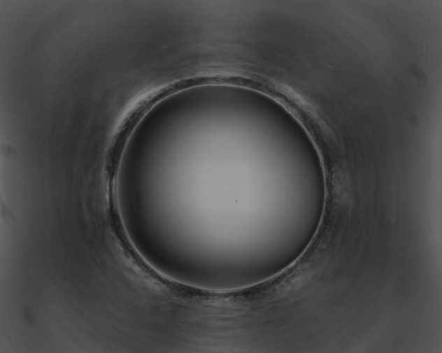 X0000090991408200708021512