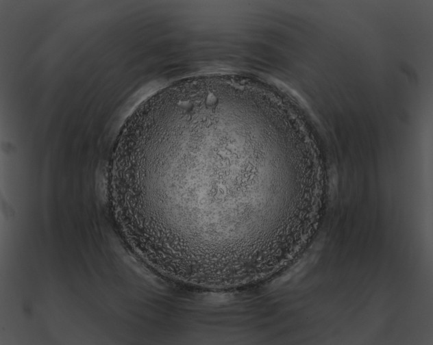 X0000090991409200708021512