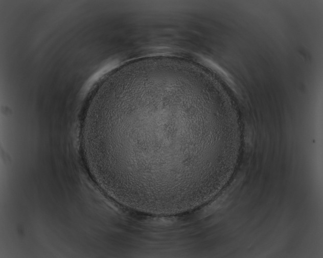 X0000090991411200708021512