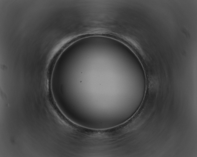 X0000090991414200708021512