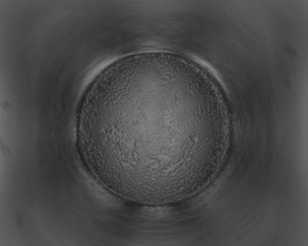 X0000090991415200708021512