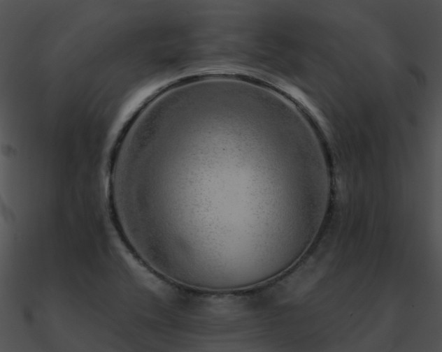 X0000090991416200708021512