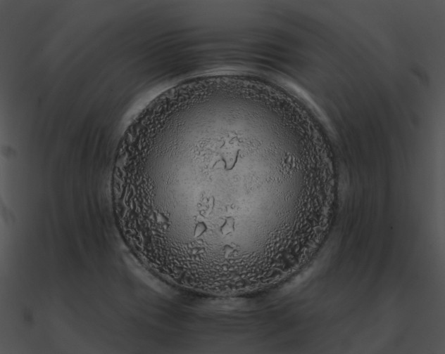 X0000090991417200708021512