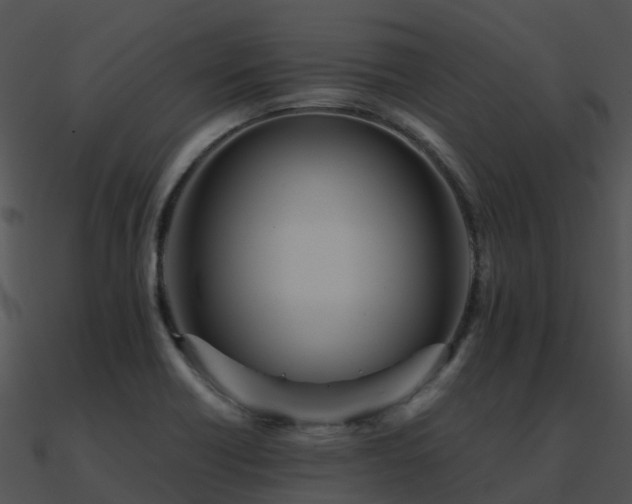X0000090991418200708021512