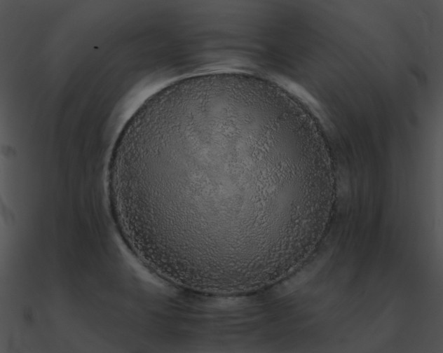 X0000090991423200708021512