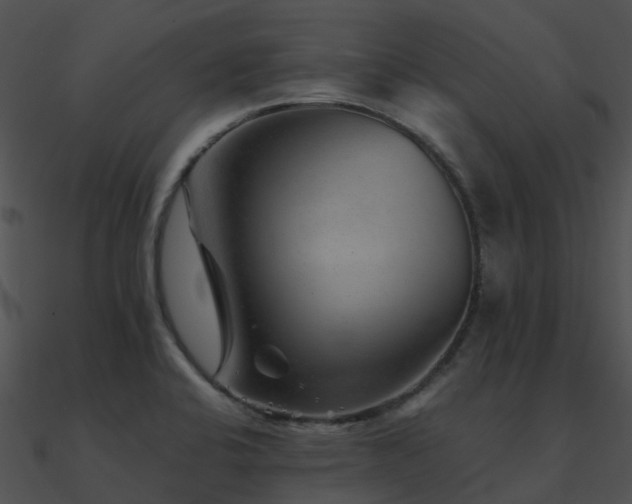 X0000090991424200708021512