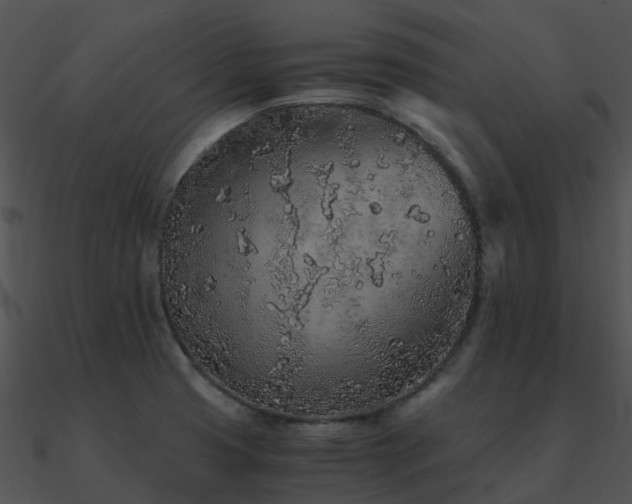 X0000090991425200708021512