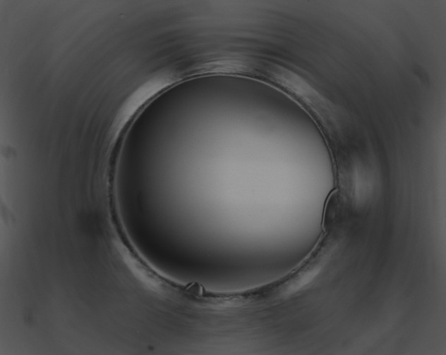 X0000090991426200708021512