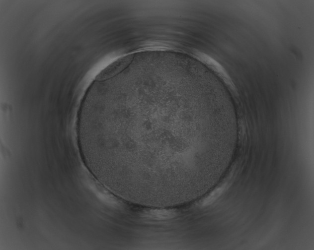 X0000090991427200708021512