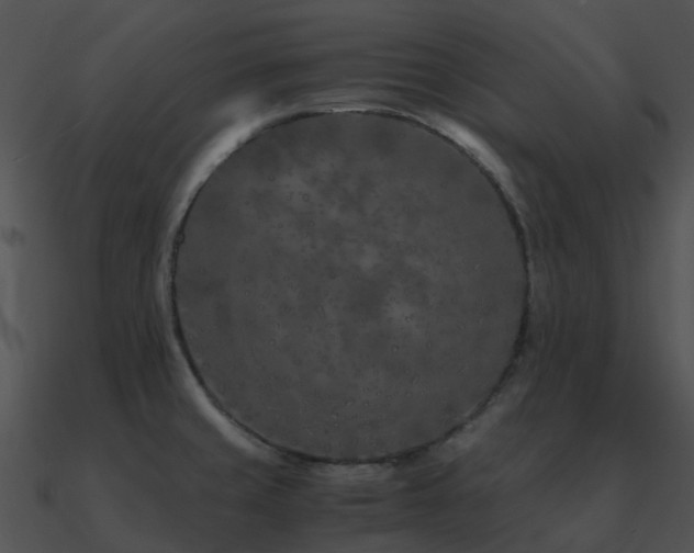 X0000090991429200708021512