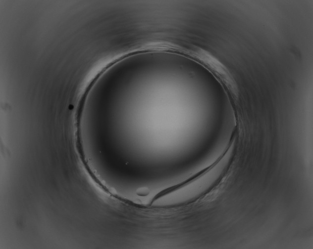 X0000090991430200708021512