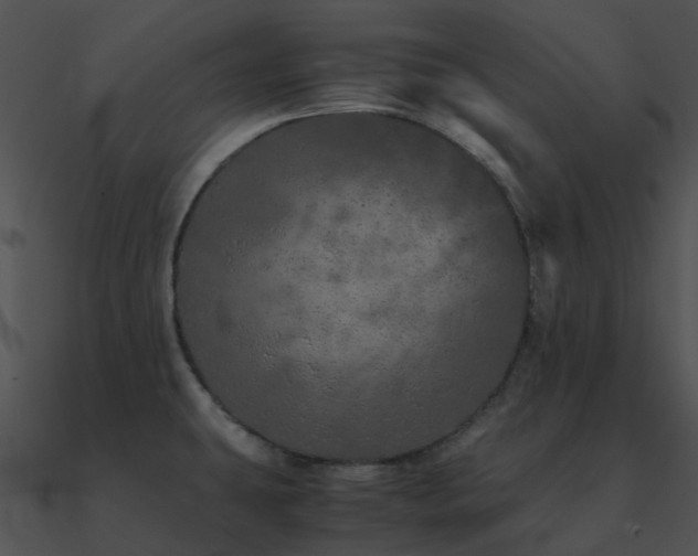 X0000090991431200708021512