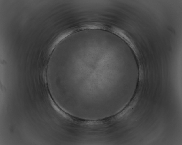 X0000090991433200708021512
