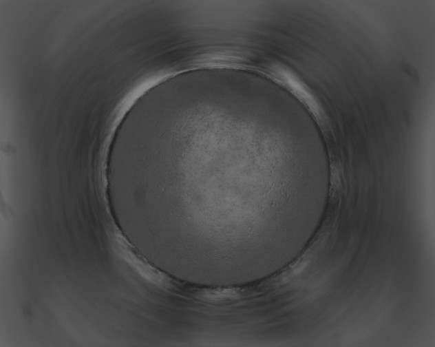 X0000090991435200708021512