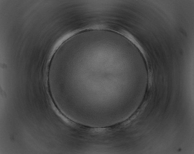 X0000090991437200708021512
