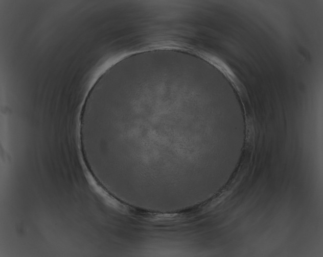X0000090991439200708021512
