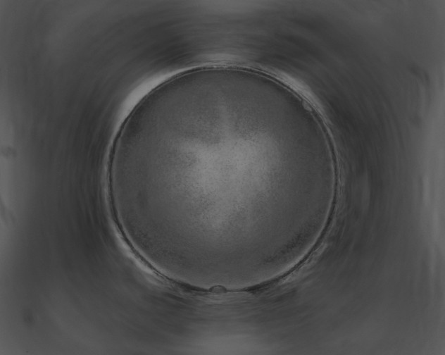 X0000090991440200708021512