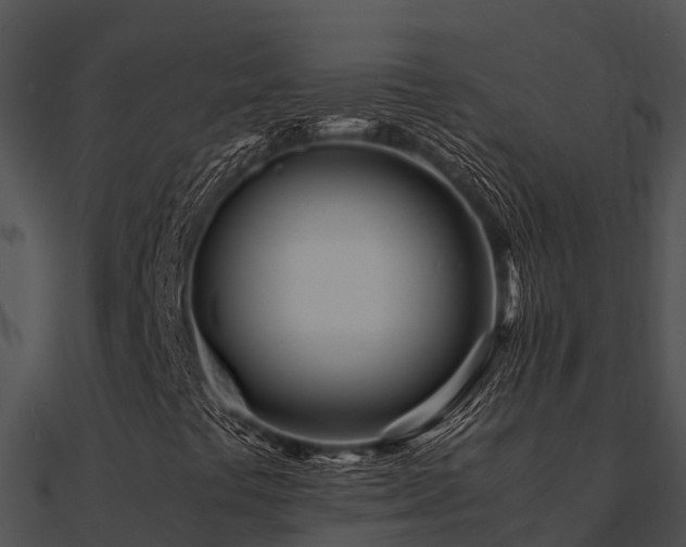 X0000090991441200708021512